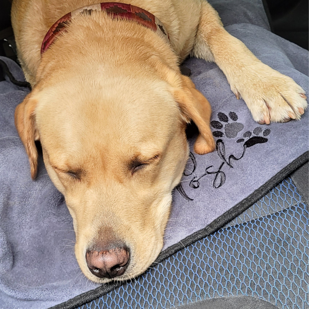 Dog Drying Towel - Image 5