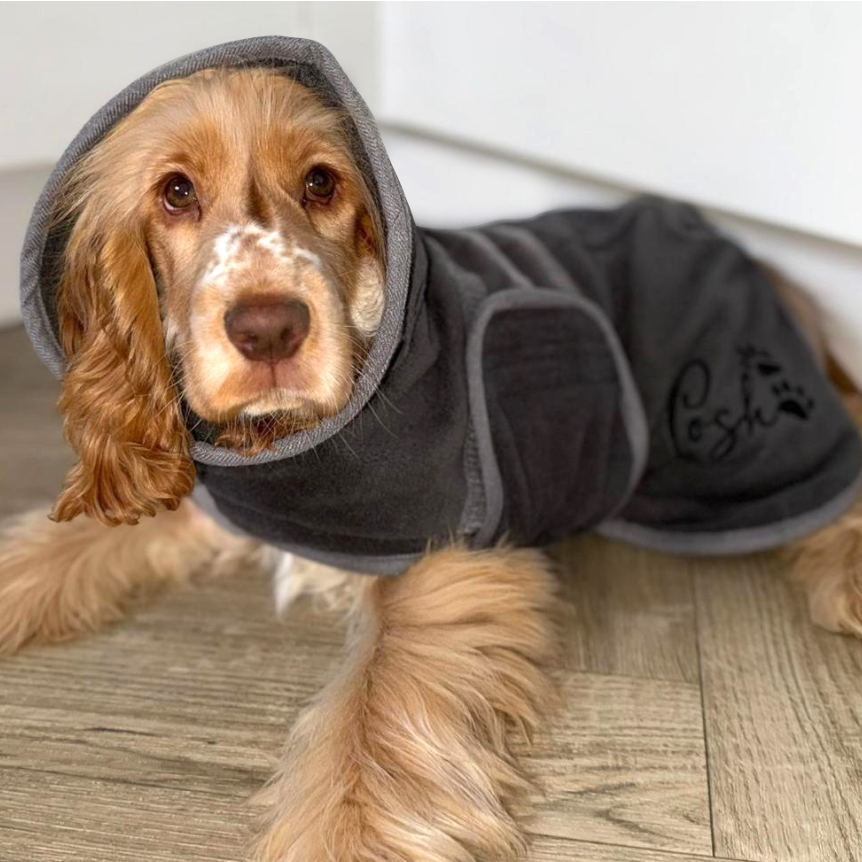 Puppy wearing her plush, super absorbent dog robe with strong velcro fastenings